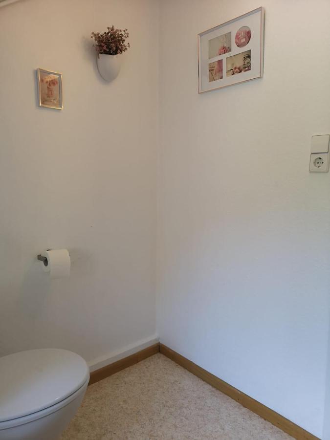 Kamus Baden-Baden